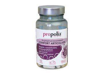 propolia-articulations-harpagophytum-chondroitine-90-gelules.jpg